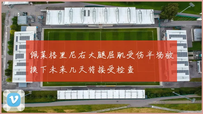 佩莱格里尼右大腿屈肌受伤半场被换下未来几天将接受检查